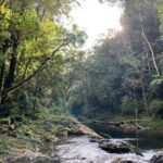 Coffee Lovers Farm and Roasting Tour - A Full Breakdown of the Coffee Lovers Farm and Roasting Tour