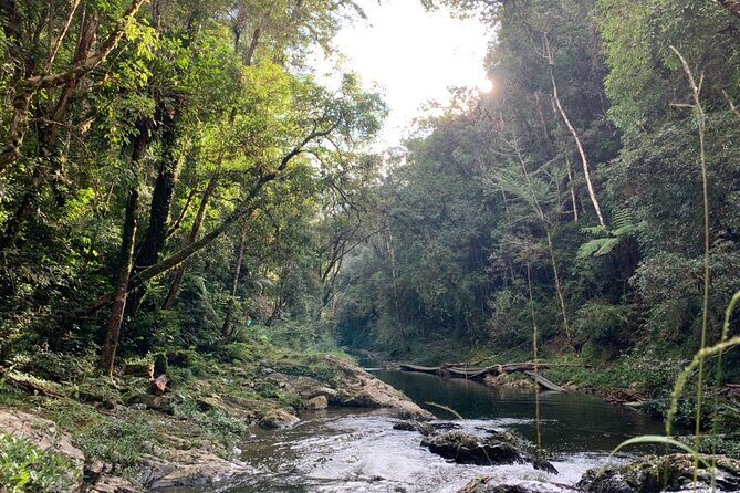 Coffee Lovers Farm and Roasting Tour - A Full Breakdown of the Coffee Lovers Farm and Roasting Tour