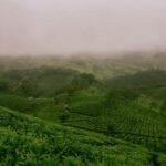 Coimbatore: Ooty and Kodaikanal 4-Day Trip - The Practical Side: Transportation, Pricing, and Value