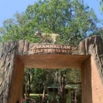 Coimbatore to Hill Station & Wildlife Safari 2-Days Tour - Practical Considerations