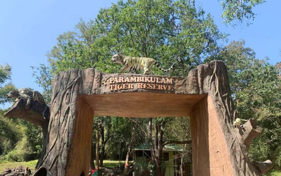 Coimbatore to Hill Station & Wildlife Safari 2-Days Tour - Practical Considerations