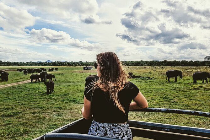 Colombo to Trincomalee Shuttle & Safari Drive - Starting the Day: From Colombo to a Wildlife Wonderland