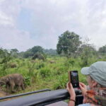 Colombo to Yala via Sigiriya, Kandy Private 4-Day Tour - Final Thoughts