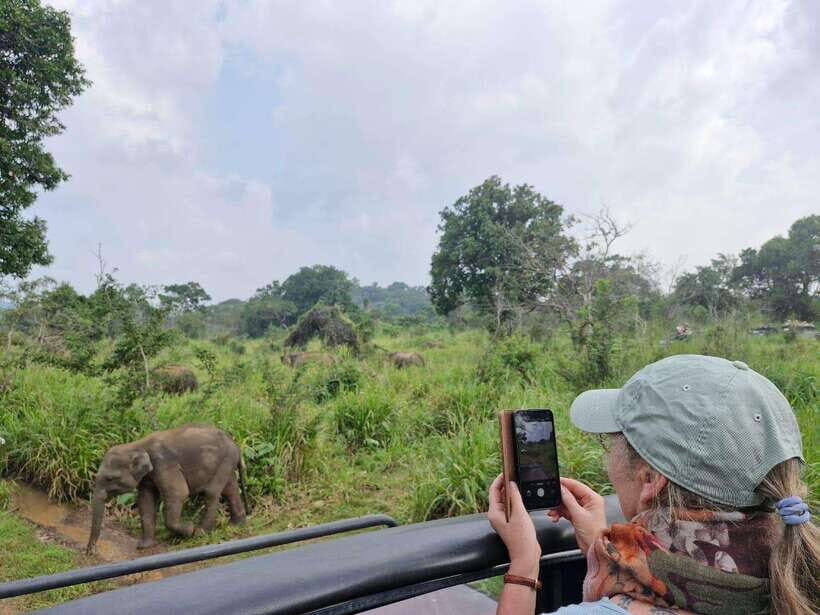 Colombo to Yala via Sigiriya, Kandy Private 4-Day Tour - Final Thoughts