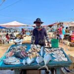 Cooking Class and Market Visit in Negombo - A Deep Dive into the Experience