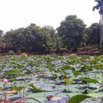 Cooking, Farming and Waterfall In Vietnam Countryside - The Practical Side: Transportation, Duration, and Cost