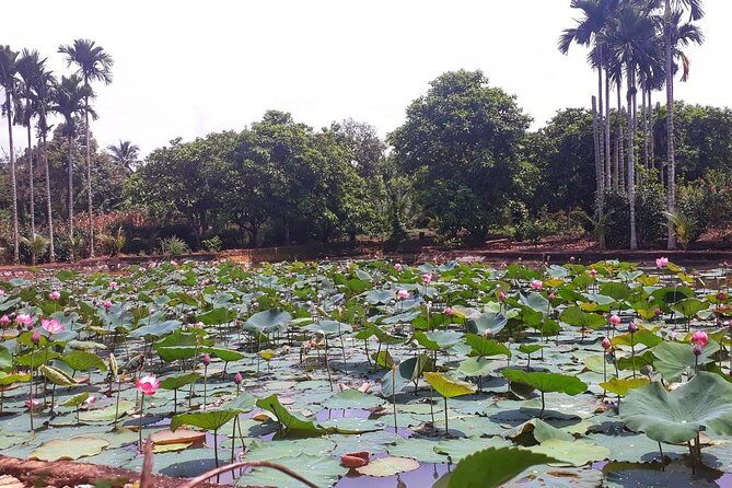 Cooking, Farming and Waterfall In Vietnam Countryside - The Practical Side: Transportation, Duration, and Cost