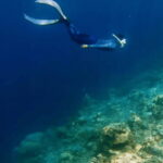 Coron: Pukaway Cave Underground Lake Tour w/Lunch (Shared) - Deep Dive into the Tour Experience