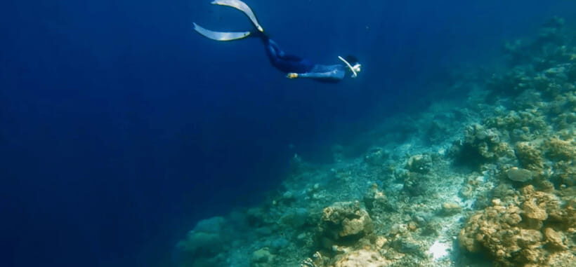 Coron: Pukaway Cave Underground Lake Tour w/Lunch (Shared) - Deep Dive into the Tour Experience