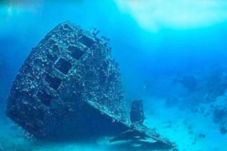 Coron: Reefs and Wrecks Tour with Snorkeling Equipment - Practical Details and Tips