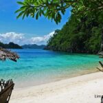 Coron Super Ultimate Tour (Shared Tour) - Who Will Love This Tour?
