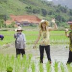 Countryside Bicycle Tour from Hoi An - All Inclusive - FAQ