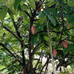 Countryside Bikking - Who Will Love This Tour?