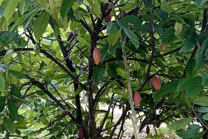 Countryside Bikking - Who Will Love This Tour?