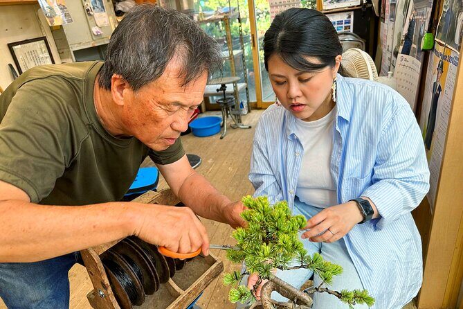 Create Your Own Pine Bonsai & Discover Aesthetics in Osaka Ikeda - A Detailed Look at the Experience