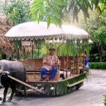 Cruise Shore Excursion of Villa Escudero with Lunch - Why This Tour Works Well