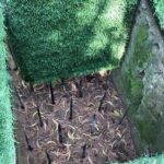 Cu Chi And Mekong Full Day Trip - What We Love About This Tour