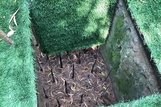 Cu Chi And Mekong Full Day Trip - What We Love About This Tour