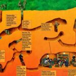 Cu Chi Tunnel Half Day - Small Group Tour - Who Should Book This Tour?