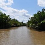 Cu chi Tunnel & Mekong Delta Full Day BBQ Lunch Lux Group 10 pax - Who Should Consider This Tour?