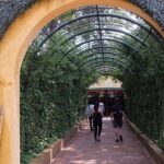 Cu Chi Tunnels By Motorbike and Scooter - The Itinerary: A Detailed Look