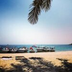 Cu Lao Cham Island Tour from Da Nang/ Hoi An - The Value Proposition