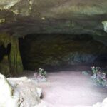 Cuc Phuong National Park Private Day Tour: Trekking & Primates - Who Should Consider This Tour?