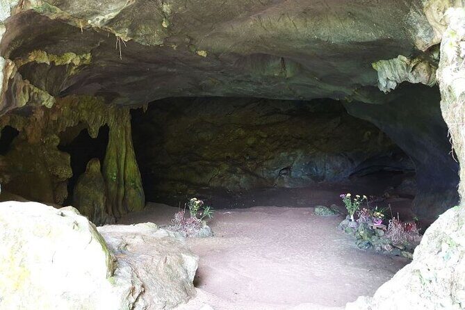 Cuc Phuong National Park Private Day Tour: Trekking & Primates - Who Should Consider This Tour?