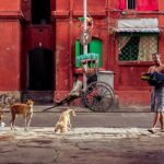 Cultural Confluence of Kolkata - Culture Kaleidoscope Tour - The Authentic Experience: What Makes This Tour Special?