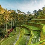 Custom Day Trip in Bali - Frequently Asked Questions