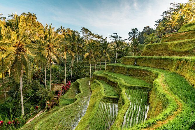 Custom Day Trip in Bali - Frequently Asked Questions