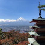 Customizable 10 Hour Private Tour from Tokyo to Mount Fuji - Final Thoughts: Who Should Consider This Tour?