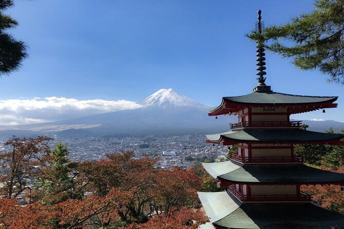 Customizable 10 Hour Private Tour from Tokyo to Mount Fuji - Final Thoughts: Who Should Consider This Tour?