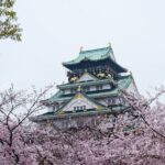 Customizable Osaka Historical Full Day Walking Tour - Who Should Consider This Tour?