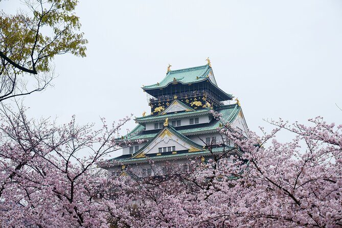 Customizable Osaka Historical Full Day Walking Tour - Who Should Consider This Tour?