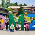 Customized 11 Days Japan and South Korea Adventure - Who Will Enjoy This Tour?