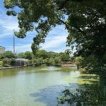 Customized Osaka Private Tour with Local Guide - What’s Included and What’s Not?