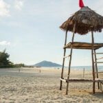 Da Nang: Full-day Hai Van Pass And Lang Co Beach Scenic Discovery - Authentic Experiences and Guide Insights