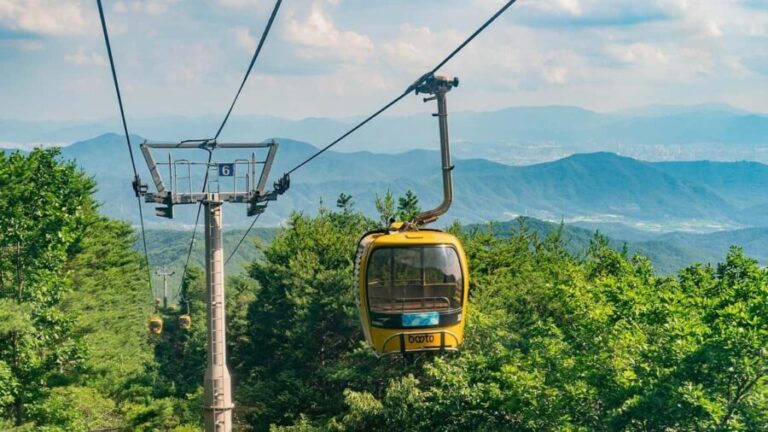 Daegu Day Tour with 83 Tower Visit & Palgongsan Cable Car - Who Should Consider This Tour?