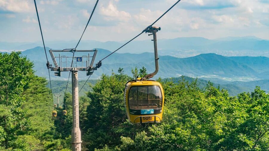 Daegu Day Tour with 83 Tower Visit & Palgongsan Cable Car - Who Should Consider This Tour?