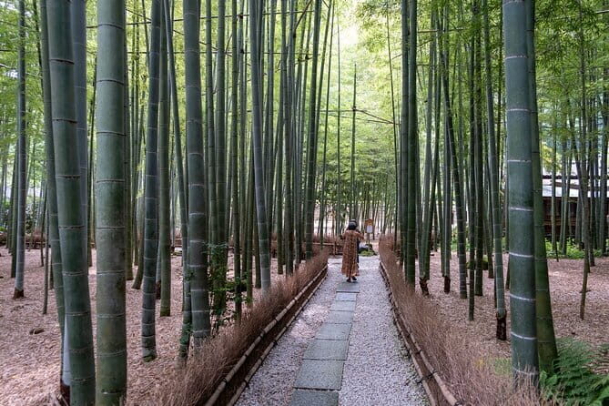 DAIBUTSU 3 Hours Private Walking Tour KAMAKURA - Who Will Love This Tour?