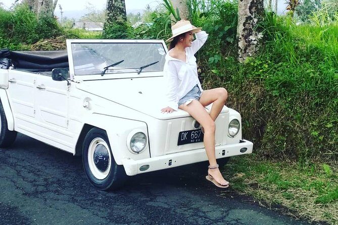 Daily VW Tour - Ubud VW Tour - Who Is This Tour Best For?