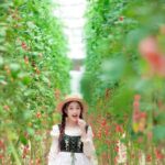 Dalat: Fun and Farm Experience with Local Guide - The Sum Up