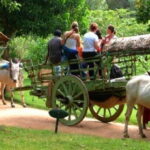 Dambulla: Caves Temple & Traditional Village Tour with Lunch - Who Is This Tour Best For?