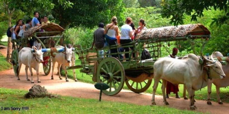 Dambulla: Caves Temple & Traditional Village Tour with Lunch - Who Is This Tour Best For?