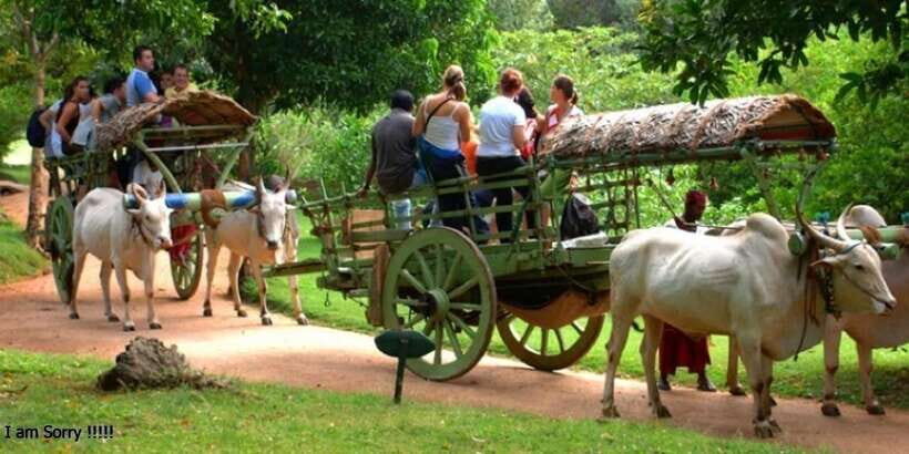 Dambulla: Caves Temple & Traditional Village Tour with Lunch - Who Is This Tour Best For?