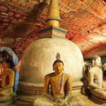 Dambulla, Sigiriya and Pidurandala Day Tour with a verified tour guide - Who Will Love This Tour?