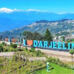 Darjeeling: Full-Day Guided Sightseeing Tour by Car - Who Would Enjoy This Tour?