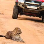 Day Excursion from Colomb to Yala Safari (Leopard Safari Tour) - What You Can Expect During the Day