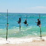 Day Excursion to Historical Galle - Madu Ganga River Safari